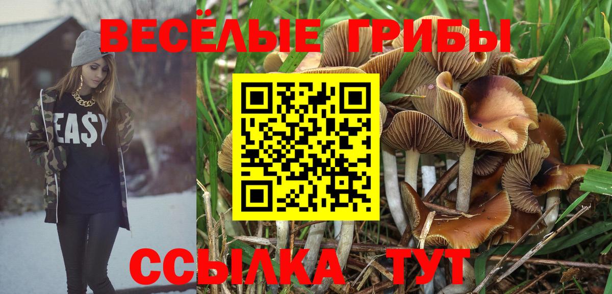 Псилоцибиновые грибы MAGIC MUSHROOMS  Вход с VPN  Кирово-Чепецк 