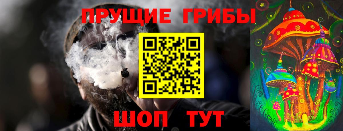Псилоцибиновые грибы мицелий Кирово-Чепецк